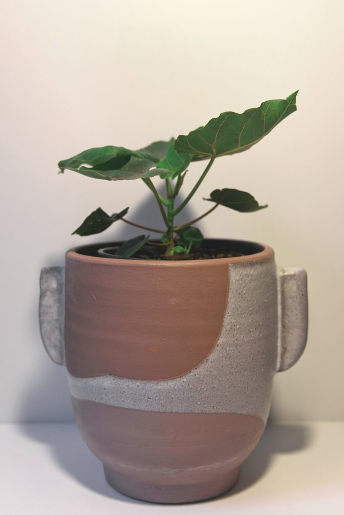 Architectural Ceramic Planter